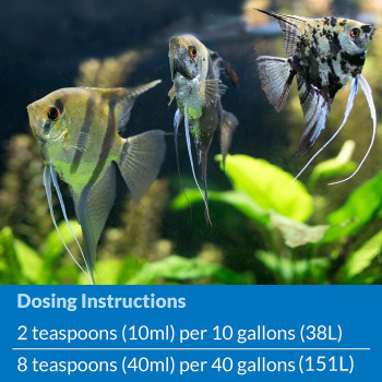 API Quick Start 8 OZ