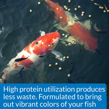 API Pond Cool Water Food  11 oz.