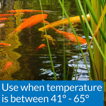 API Pond Cool Water Food  11 oz.