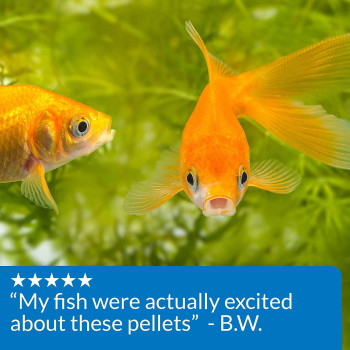 API Goldfish Pellets 4 OZ