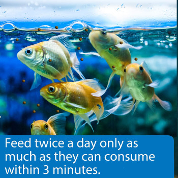 API Goldfish Pellets 4 OZ