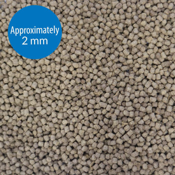 API Goldfish Pellets 4 OZ