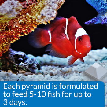 API Weekend Pyramid Fish Feeder