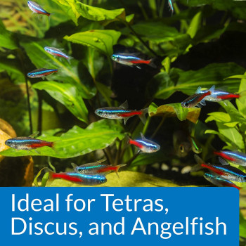 API Proper pH 6.5 Powder 8.5 OZ