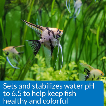 API Proper pH 6.5 Powder 8.5 OZ