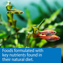 API Pellets Tropical Fish Food 4.2 OZ