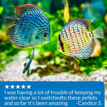 API Pellets Tropical Fish Food 4.2 OZ