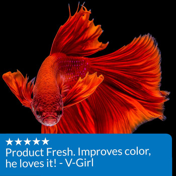 API Betta Pellet Fish Food 0.78 OZ