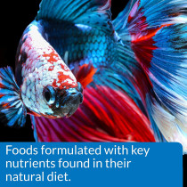API Betta Pellet Fish Food 0.78 OZ