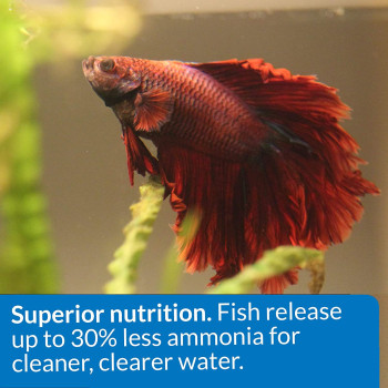 API Betta Pellet Fish Food 0.78 OZ