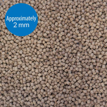 API Betta Pellet Fish Food 0.78 OZ