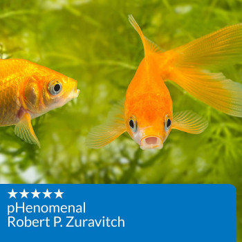 API High Range pH Test Kit 160 count