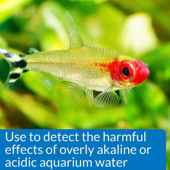 API High Range pH Test Kit 160 count