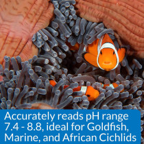 API High Range pH Test Kit 160 count