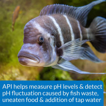 API High Range pH Test Kit 160 count