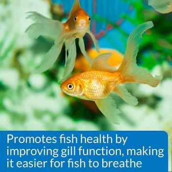API Freshwater Aquarium...