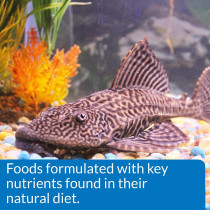 API Algae Eater Wafers Fish Food 3.7 Oz