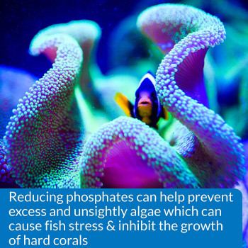 API Phosphate PO4 Freshwater & Saltwater Aquarium Test Kit 150 count