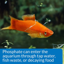 API Phosphate PO4 Freshwater & Saltwater Aquarium Test Kit 150 count