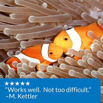 API Phosphate PO4 Freshwater & Saltwater Aquarium Test Kit 150 count