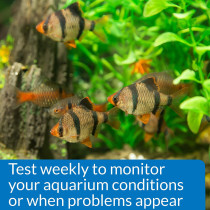 API Phosphate PO4 Freshwater & Saltwater Aquarium Test Kit 150 count