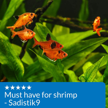 API Copper Cu+ Freshwater & Saltwater Aquarium Test Kit 90 count