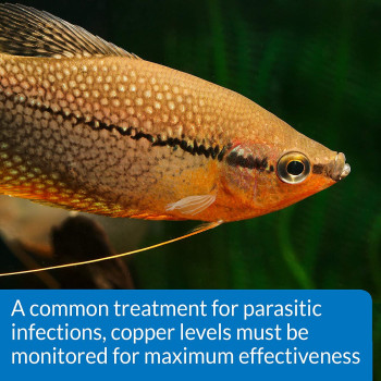 API Copper Cu+ Freshwater & Saltwater Aquarium Test Kit 90 count