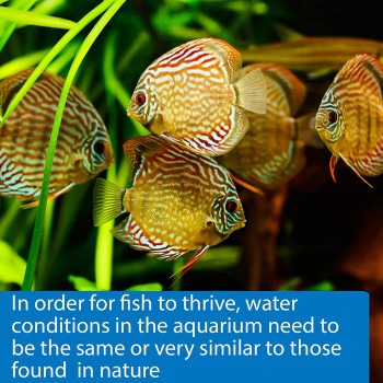 API pH Test Strips 25 count