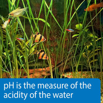 API pH Test Strips 25 count