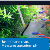 API pH Test Strips 25 count