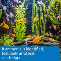 API Ammonia NH3 NH4 Test Strips 25 count