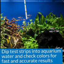 API 5 IN 1 Test Strips 4 Count