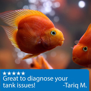 API 5 IN 1 Test Strips 25 Count