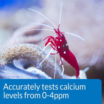 API Calcium Saltwater Aquarium Test Kit 1 count