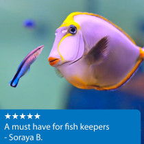 API Saltwater Aquarium Master Test Kit 550 count