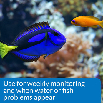 API Saltwater Aquarium Master Test Kit 550 count