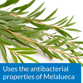 API Pond Melafix 64 OZ