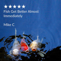 API Pond Melafix 64 OZ