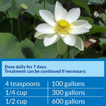 API Pond Pimafix 64 OZ