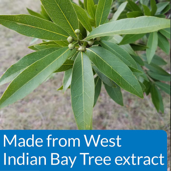 API Pond Pimafix 64 OZ