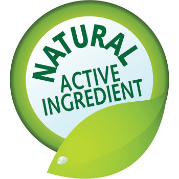 API POND ECOFIX SLUDGE DESTROYER 16 OZ