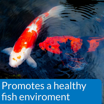 API POND ECOFIX SLUDGE DESTROYER 16 OZ