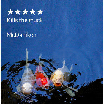 API POND ECOFIX SLUDGE DESTROYER 16 OZ