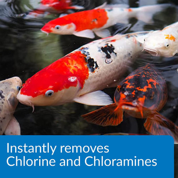 API POND AMMO LOCK 16 OZ