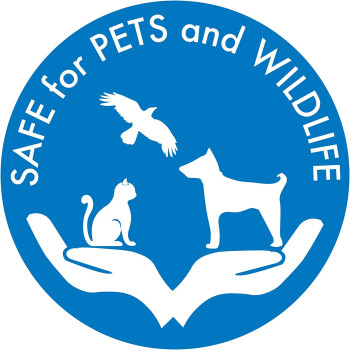 API POND AMMO LOCK 16 OZ