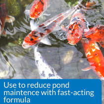 API POND SIMPLY CLEAR 16 OZ