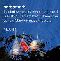 API POND SIMPLY CLEAR 16 OZ