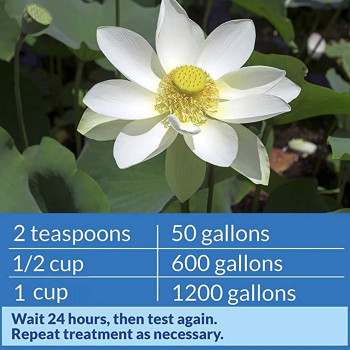 API POND pH UP 16 OZ