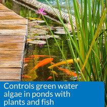 API Pond Microbial Algae Clean 16 OZ