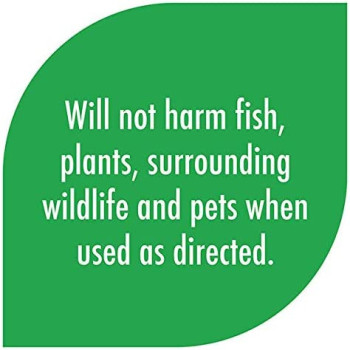 API POND ALGAEFIX 16 OZ